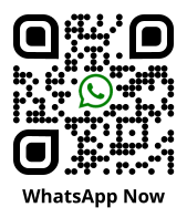WhatsApp Now